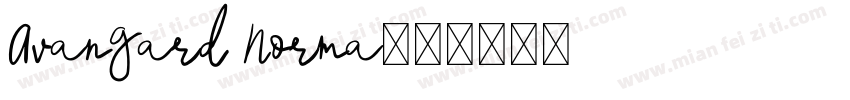 Avangard Norma字体转换
